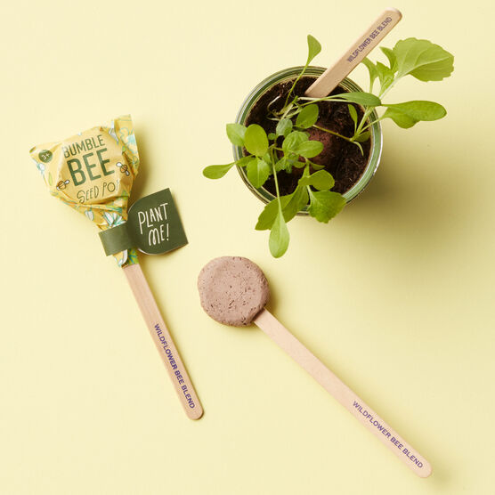 Modern Sprout Bumble Bee Seed Pop...Plant and Watch Grow!