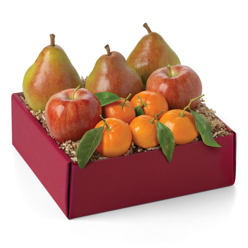 Fresh Fruit Trio Gift Box | 