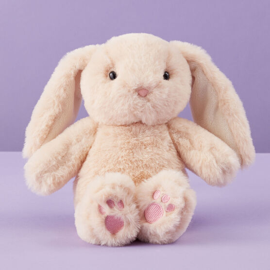 Little Bunny Gift Basket Stuffed Bunny