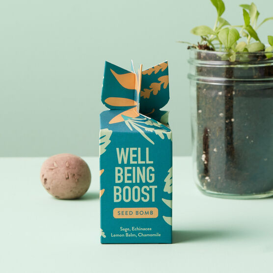 Modern Sprout Well Being Boost Seed Bomb
