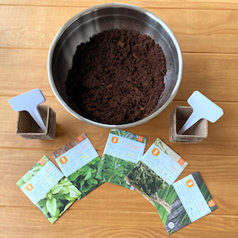 Herb Garden Seeds