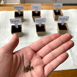 Herb Garden Seeds and Soil